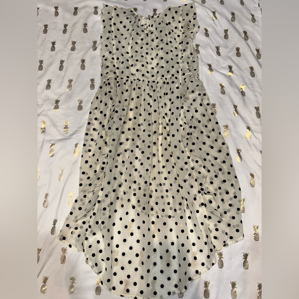 Disney D-Signed Girls Size M (10/12) Cream and Black Polka-dot Hi-Low Dress. EUC